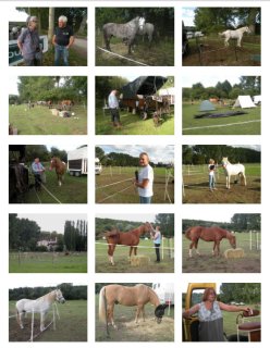 À CHEVAL ! LES VACANCES SONT FINIES…