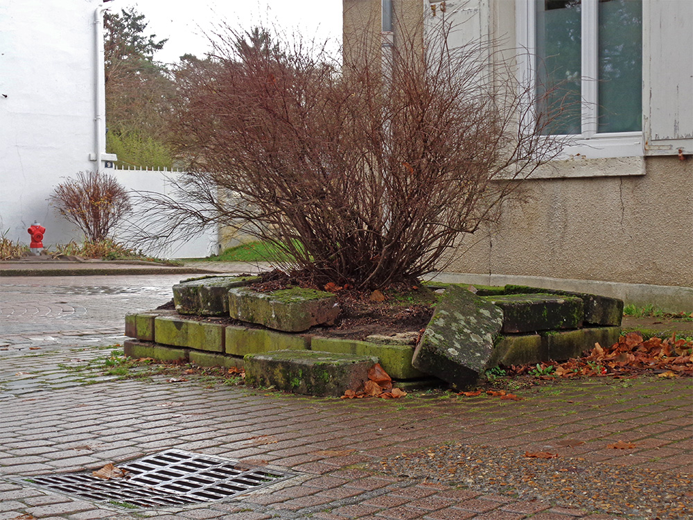 Comment bien gérer les eaux de pluie à Coye ?