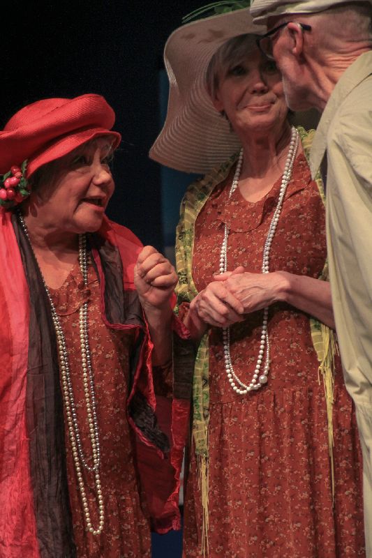 Les pas perdus, de Denise Bonal