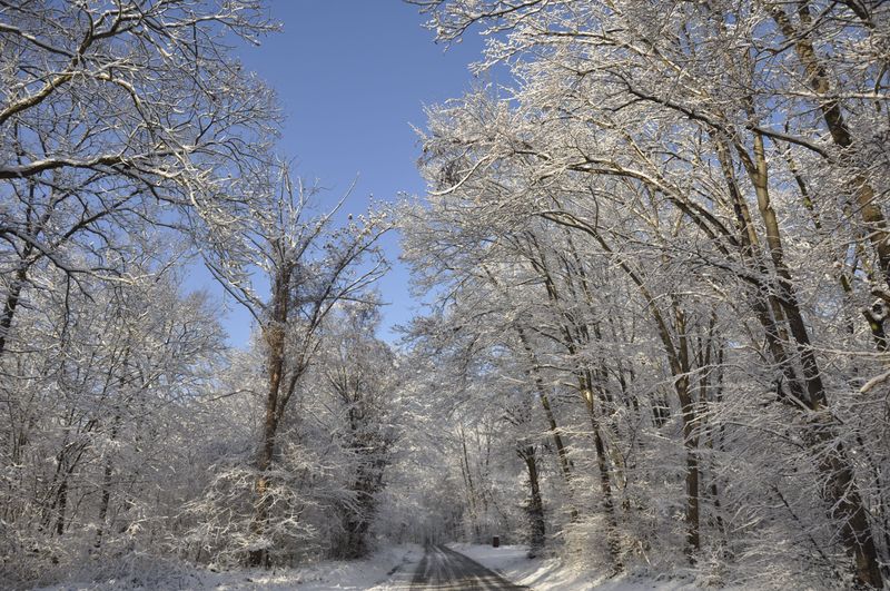 Neige et soleil