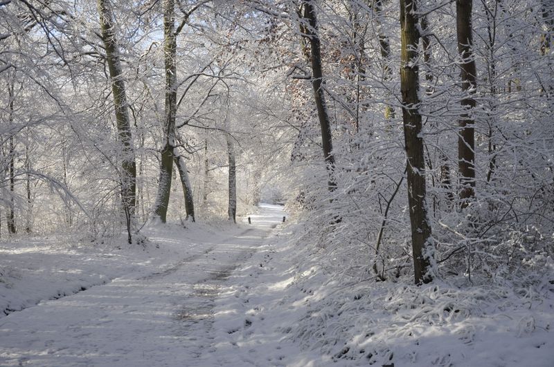 Neige et soleil