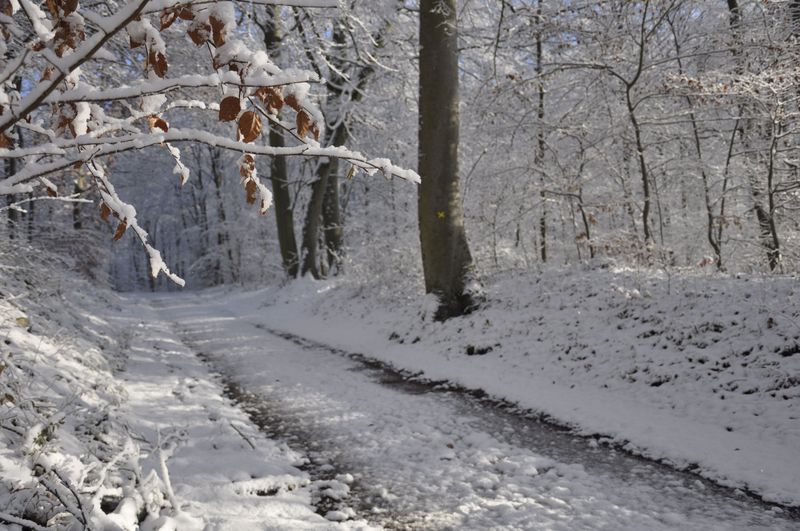 Neige et soleil
