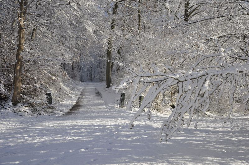 Neige et soleil