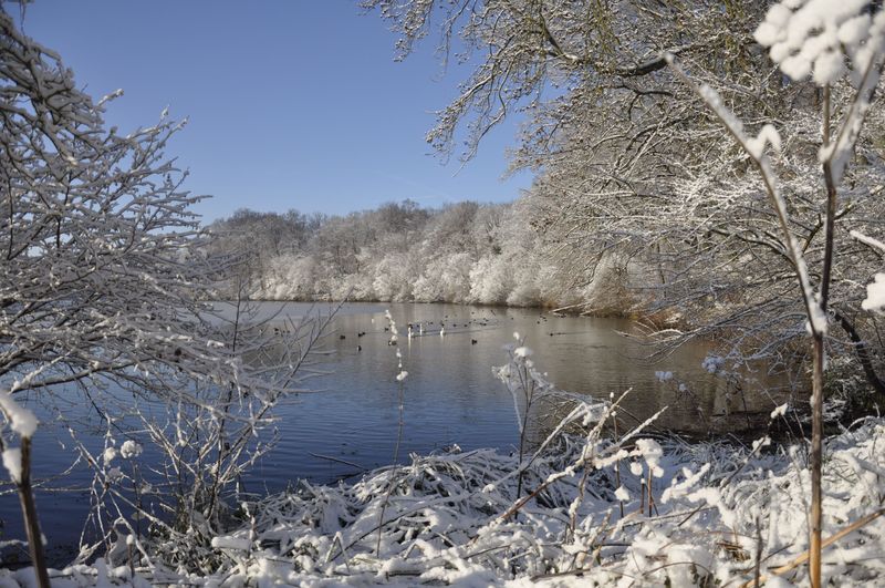 Neige et soleil