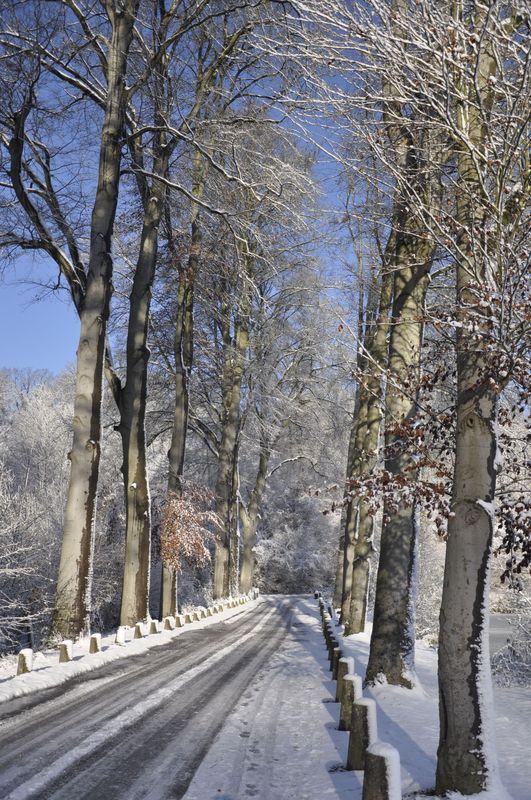 Neige et soleil