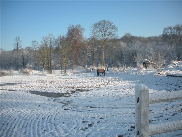 Neige et soleil