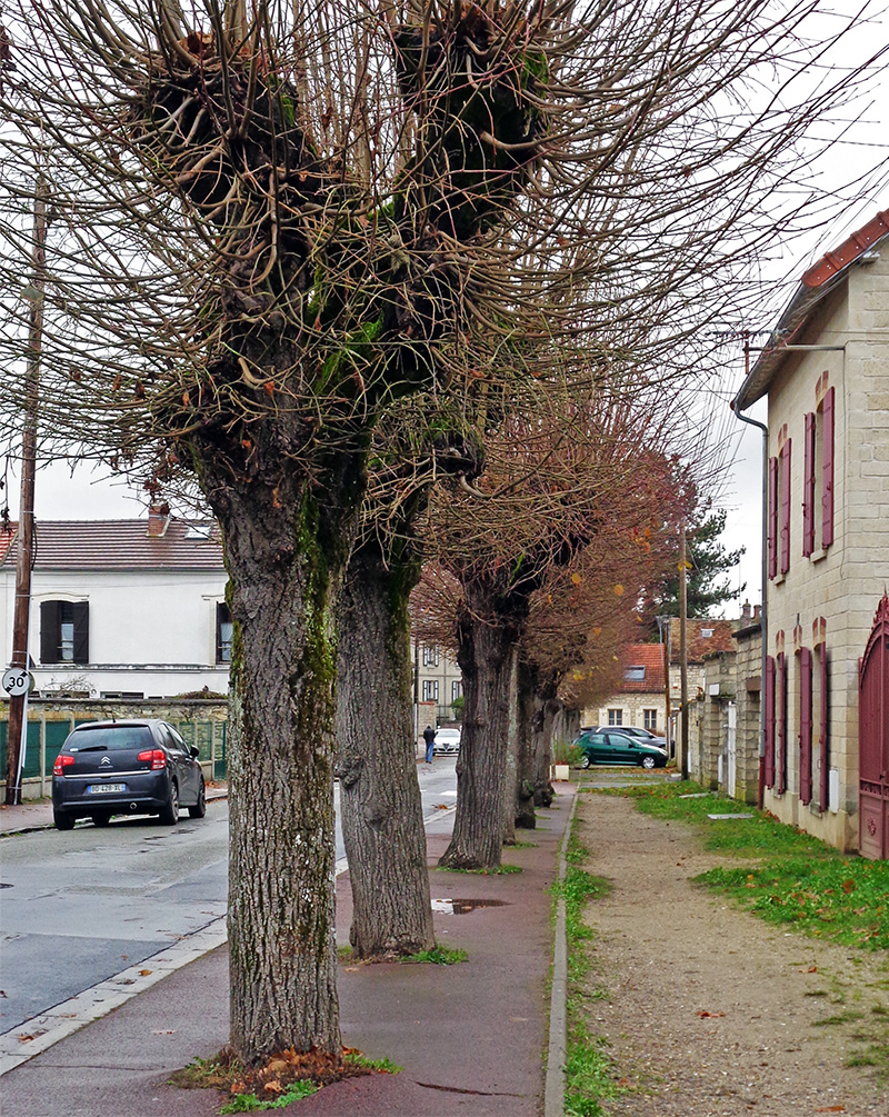 Comment bien gérer les eaux de pluie à Coye ?