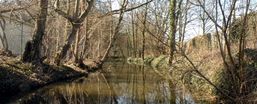 Entretien de la Thève et création d’un chemin d’accès sur la rive gauche du cours d’eau