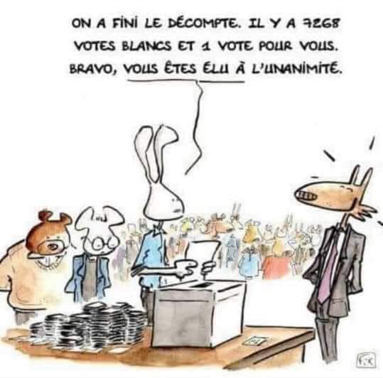 Voter... ou pas