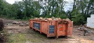 Coye-la-Forêt : Un bois entier disparu… et des solutions pour éviter que ça recommence