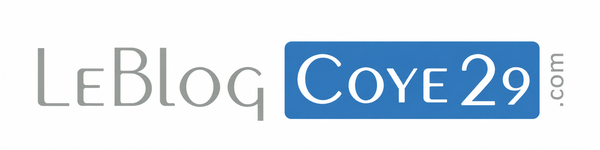 Le Blog Coye29