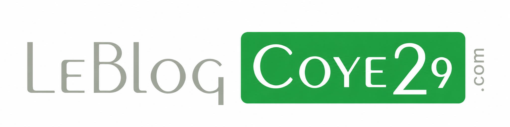 Le Blog Coye29