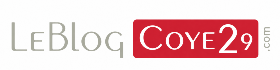 LeBlog Coye29.com